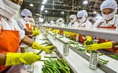 भारत के खाद्य प्रसंस्करण क्षेत्र ने पिछले 9 वर्षों में 50,000 करोड़ रुपये का एफडीआई आकर्षित किया: पीएम मोदी