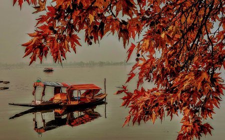 कश्मीर में शरद ऋतु: प्रकृति का शानदार प्रदर्शन दूर-दूर से पर्यटकों को आकर्षित करता है
