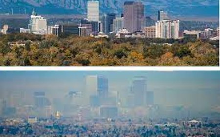 दिल्ली ही नहीं, दिवाली के बाद ये 2 भारतीय शहर भी दुनिया के सबसे प्रदूषित शहरों की सूची में शामिल