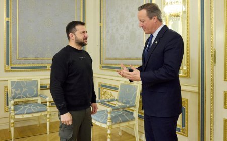 ब्रिटिश विदेश सचिव डेविड कैमरन ने ब्रिटेन के शीर्ष राजनयिक के रूप में अपनी पहली विदेश यात्रा में ज़ेलेंस्की से मुलाकात की