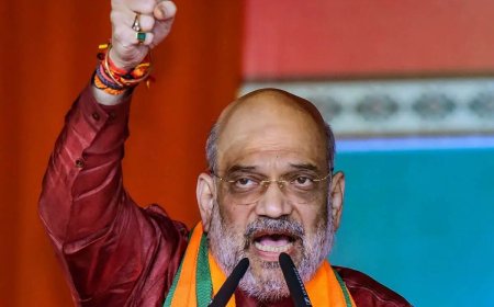 "जाओ विश्व कप जीतो": अमित शाह ने विश्व कप फाइनल के लिए टीम इंडिया को शुभकामनाएं दीं