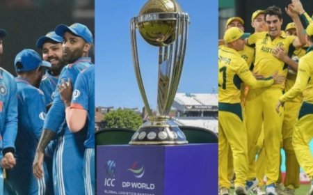 IND vs AUS Final : ऑस्ट्रेलिया ने छठी बार वनडे वर्ल्ड कप जीता