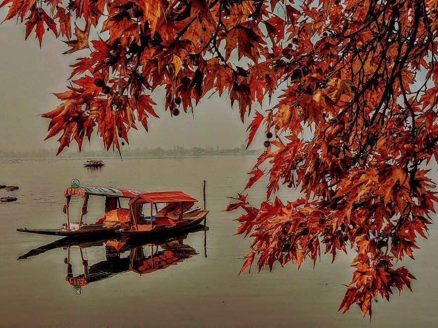 कश्मीर में शरद ऋतु: प्रकृति का शानदार प्रदर्शन दूर-दूर से पर्यटकों को आकर्षित करता है