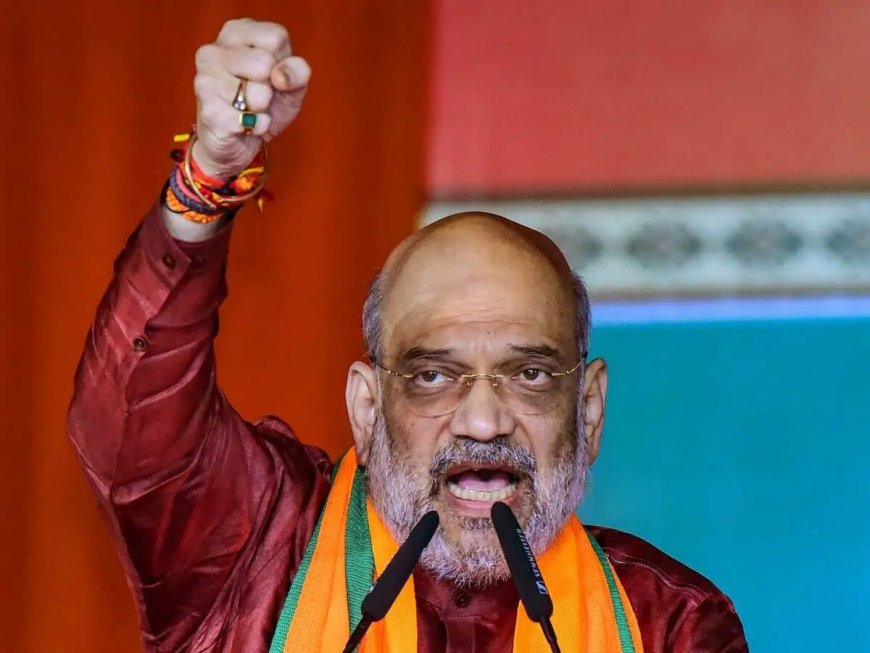 "जाओ विश्व कप जीतो": अमित शाह ने विश्व कप फाइनल के लिए टीम इंडिया को शुभकामनाएं दीं