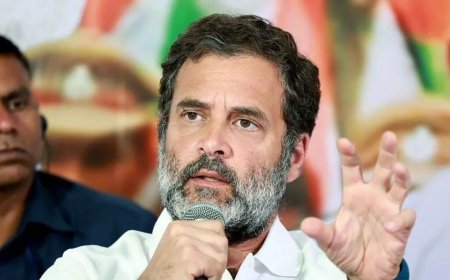 राहुल गांधी ने विनेश फोगाट के वीडियो पर प्रतिक्रिया दी, पीएम मोदी पर 'बाहुबली' का तंज कसा