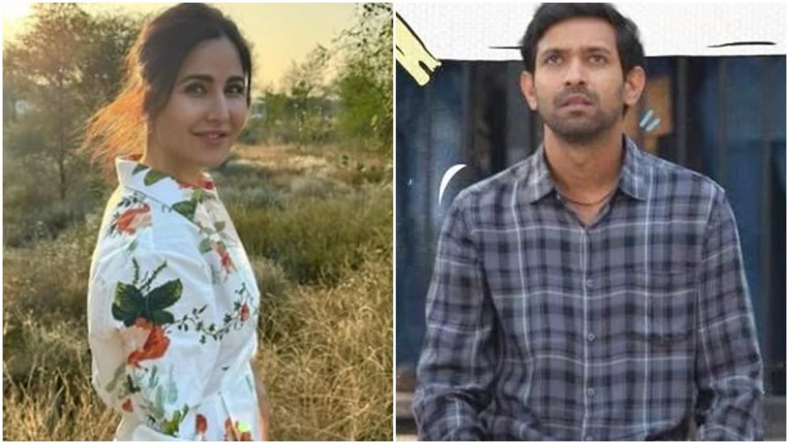 कैटरीना कैफ ने 12वीं फेल की सफलता की सराहना, छोटी फिल्मों के लिए प्रेरणा