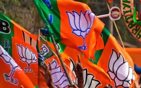 छत्तीसगढ़ विधानसभा चुनाव 2023: BJP के लिए 9 चुनौतीपूर्ण सीटें, क्या इस बार मिलेगी जीत?
