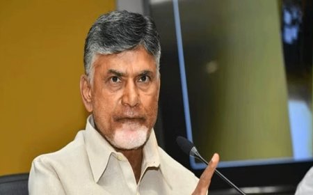 कौशल विकास घोटाला मामले में पूर्व मुख्यमंत्री चंद्रबाबू नायडू को मिली अंतरिम जमानत