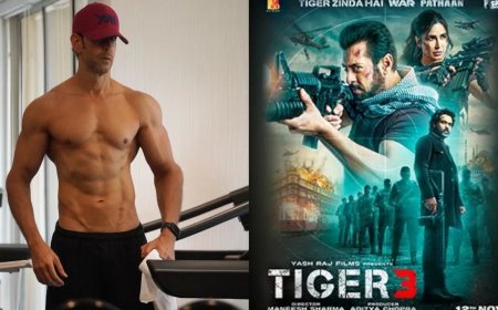 टाइगर 3 में ऋतिक रोशन की एंट्री, दिवाली पर जमकर धमाल