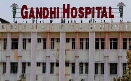 गांधी मुर्दाघर में सभी 62 फ्रीजर बक्से काम कर रहे हैं, सरकार ने उच्च न्यायालय को सूचित किया