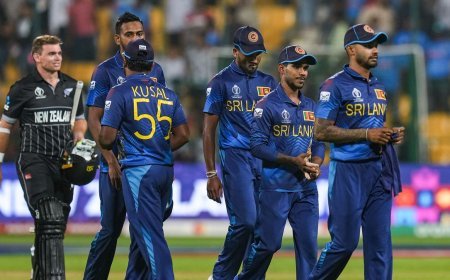 श्रीलंका टीम स्वदेश लौटी, मुख्य चयनकर्ता ने विश्व कप में खराब प्रदर्शन के लिए बाहरी साजिश को जिम्मेदार ठहराया