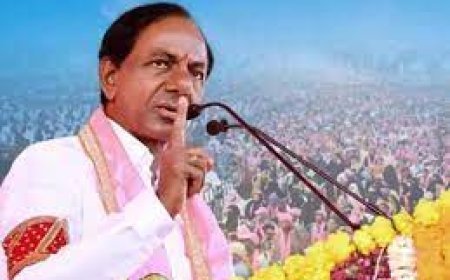 केसीआर को गजवेल, कामारेड्डी में 100 से अधिक निर्दलीय उम्मीदवारों का सामना करना पड़ रहा है: खेत प्रदर्शनकारियों से लेकर युवा कार्यकर्ता