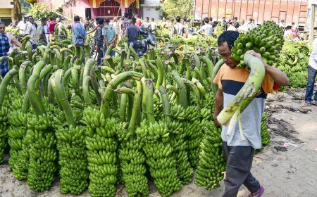 खाद्य पदार्थों की कीमतें 1.1% बढ़ी हैं लेकिन प्याज, दालें, धान और अनाज में मुद्रास्फीति बढ़ी है