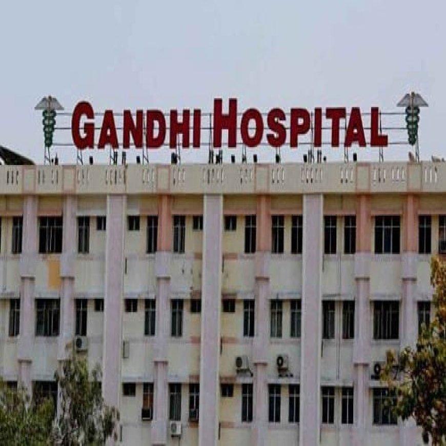 गांधी मुर्दाघर में सभी 62 फ्रीजर बक्से काम कर रहे हैं, सरकार ने उच्च न्यायालय को सूचित किया