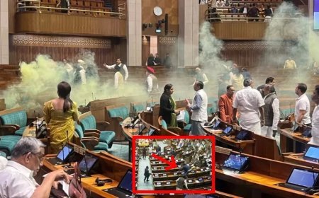 संसद हमले की 22वीं बरसी पर सुरक्षा में कैसे हुई इतनी बड़ी चूक?
