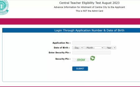 एडमिट कार्ड, परीक्षा सिटी स्लिप ctet.nic.in पर प्रतीक्षित है