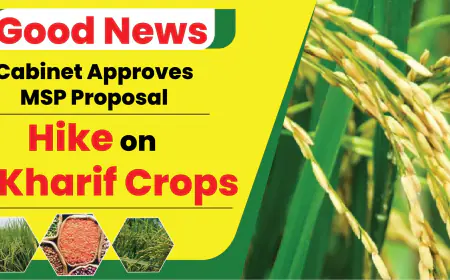 Govt Increases MSP for 14 Kharif Crops, Extends KCC Loans and Infrastructure Push